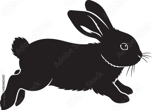 Black lop eared rabbit silhouette vector illustration design