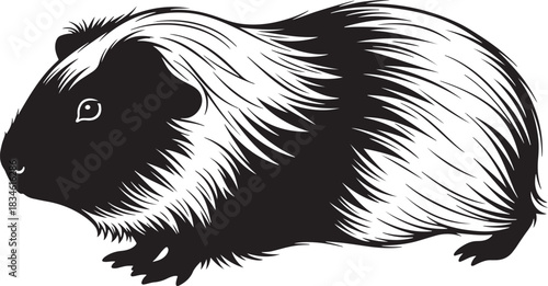 Charming guinea pig portrait with black and white textural detail cute rodent pet artwork for animal lovers