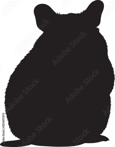 Cute chinchilla pet animal silhouette sitting isolated on white