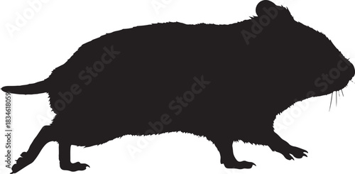 Hamster small mammal pet rodent silhouette isolated simple vector