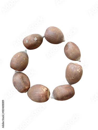 Wallpaper Mural Babassu coconut in a wheel design Torontodigital.ca