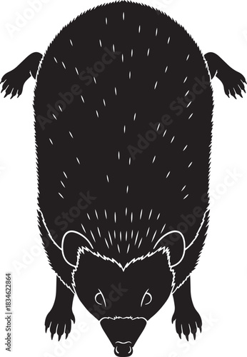 Minimalist black hedgehog silhouette illustration isolated art