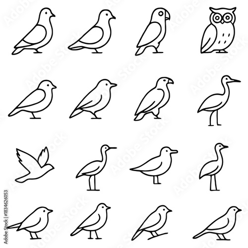 Elegant Avian Silhouettes: A sophisticated collection of meticulously crafted, minimalist bird line drawings. Showcasing a variety of species in elegant poses.