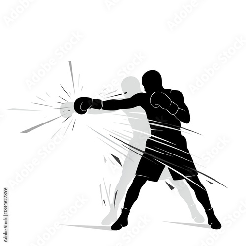 Boxer Silhouette Action