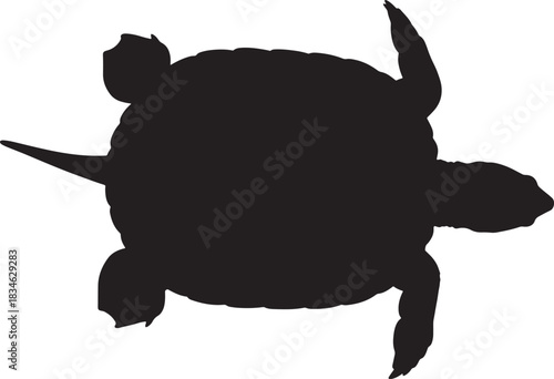 Isolated top view silhouette of a sea turtle on a white background, symbolizing patience, wisdom, aquatic life journey