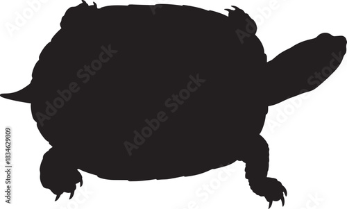 Silhouette of a snapping turtle, a freshwater reptile known for its powerful bite and armored shell