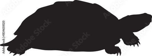 Turtle or tortoise black silhouette illustration isolated on a white background, slow moving reptile wildlife