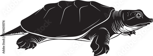 Black silhouette illustration of a turtle, a freshwater reptile with a distinctive shell and aquatic features