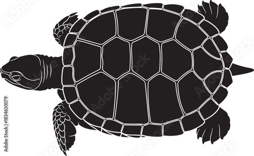 Stylized top view of a sea turtle silhouette, showing detailed shell patterns and flippers, on a clean white background.