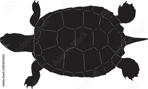 Top down silhouette vector illustration of a snapping turtle, a freshwater reptile, swimming or walking slowly in water.
