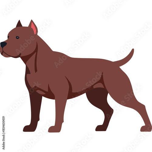 Brown Pitbull Dog Standing Full Body Portrait Against Black Background Simple Flat Design Minimalist Style