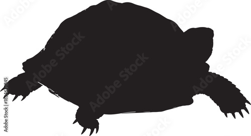 Tortoise silhouette on a clean white background, depicting the iconic shape of the slow-moving reptile.
