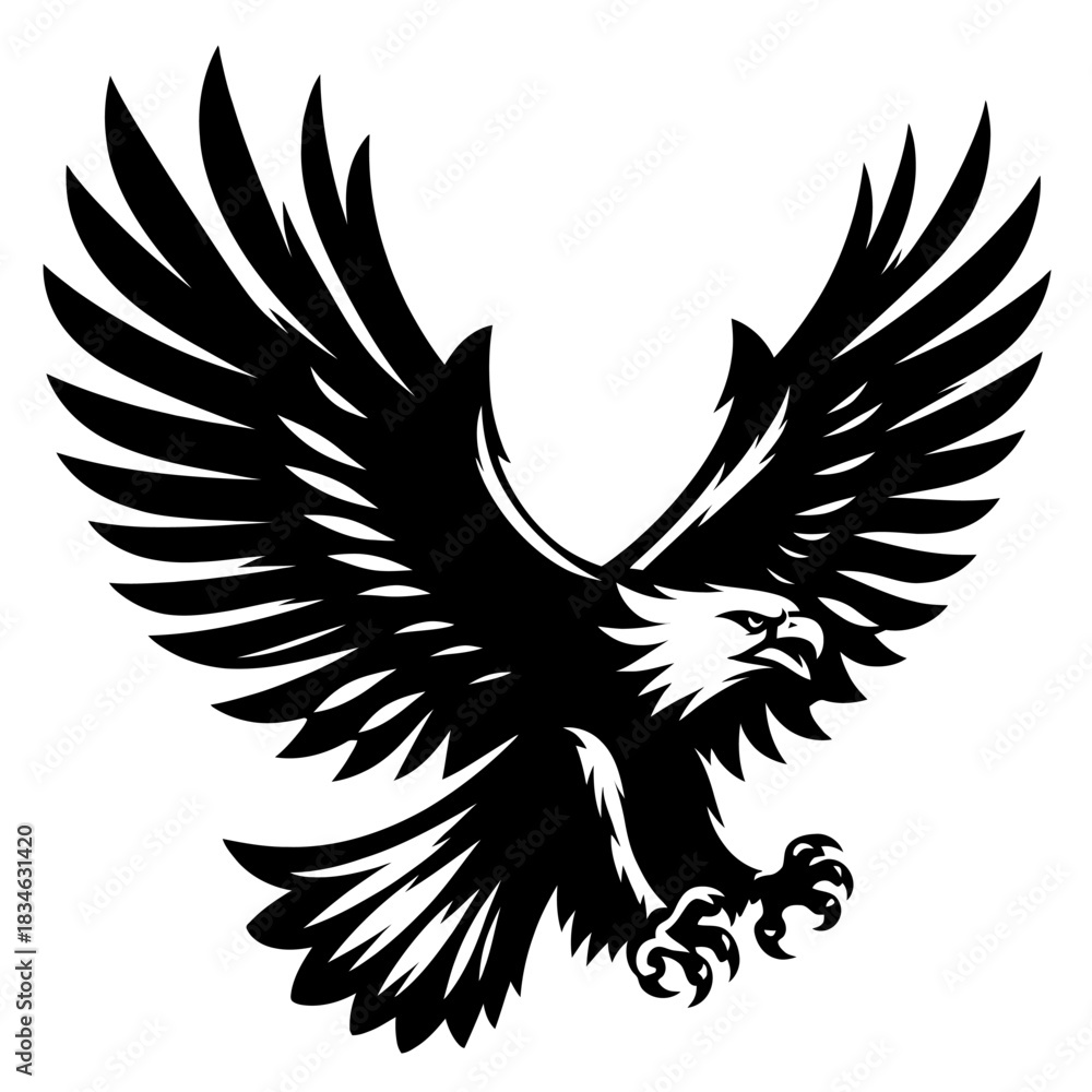 Obraz premium Flying Screaming eagle full b...