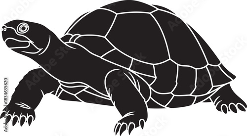 Black silhouette of a terrestrial turtle, commonly known as a tortoise, with detailed shell patterns on a clean background.