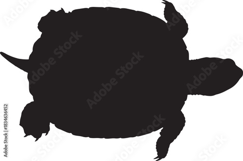Black silhouette of a powerful snapping turtle or large freshwater tortoise crawling slowly, isolated on white.