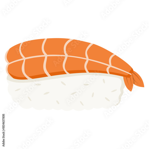 shrimp nigiri sushi illustration