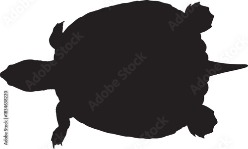 Silhouette of a marine or freshwater turtle from above, showcasing its distinctive shell and limbs, isolated on white.