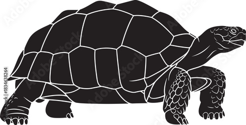 Silhouette vector illustration of a tortoise, showcasing its strong shell and ancient reptilian form, isolated.