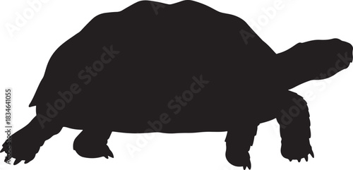 Side view silhouette of a land tortoise or turtle, a slow-moving reptile, isolated on a clean background.