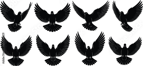 Set of flying dove silhouettes with spread wings in various positions, peaceful bird collection, symbolic freedom and nature wildlife vector illustration for design and decoration