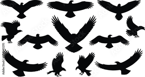 Set of flying eagle silhouettes, vector illustration of birds in flight, wildlife design, freedom, strength, power, nature and animal concept art