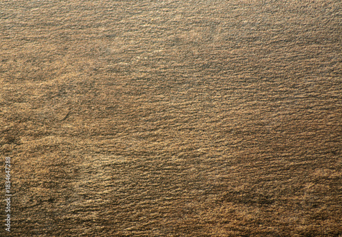 Dark walnut, natural dark wood surface close-up.