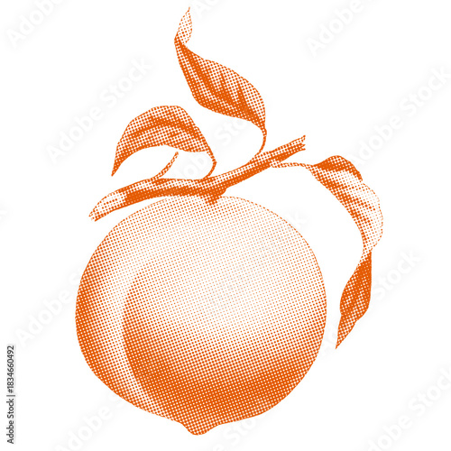 Halftone illustration of a peach