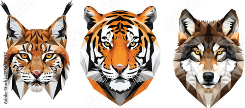 Geometric low poly vector illustration set of lynx, tiger, and wolf heads, abstract polygonal wildlife animal predator portraits isolated.
