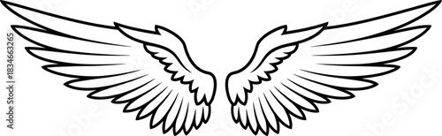 Elegant line art of spread angel wings a symbol of peace and divinity