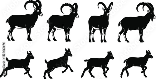 Black Goat and Ibex Silhouettes in Various Poses – Adult and Baby Animal Vector Set for Wildlife, Farm, and Nature Themes