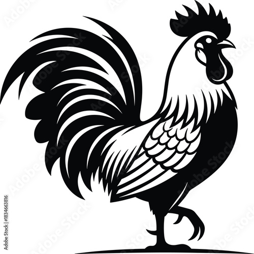 Elegant black and white rooster vector illustration with detailed feathers, stylized tail, farm animal art for stock image platforms