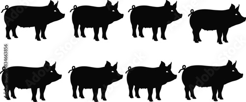 Pig silhouette vector set featuring eight black pig shapes in uniform style for farm animal design, decoration, and educational use