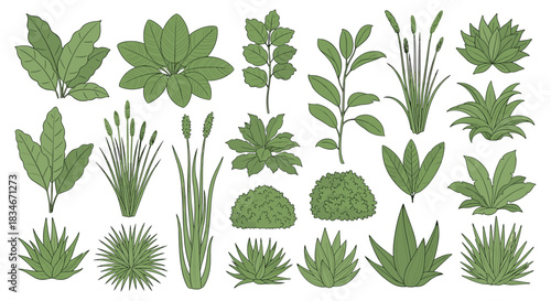 A collection of various green plants and bushes illustrated in a simple artistic style.