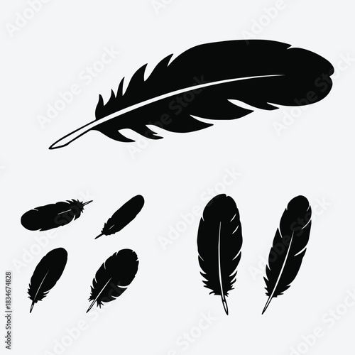 Creative Bird Plume Vector Designs