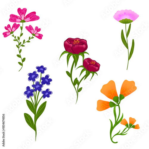 bouquet of flowers png
