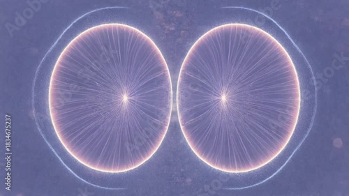 Abstract Cellular Division Animation A Microscopic World Unveiled.