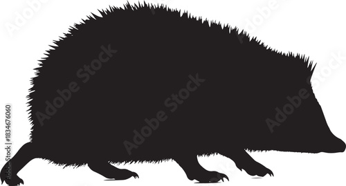 Hedgehog silhouette isolated on a white background, side view, showing its characteristic spiny coat and small legs.