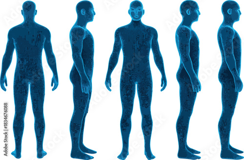 Digital human body blueprint showing different profile views for biometric data. isolated PNG with Transparent Background