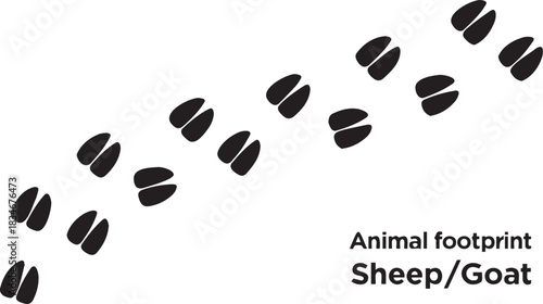 Black sheep or goat animal hoof prints and tracks following a nature trail isolated PNG with Transparent Background