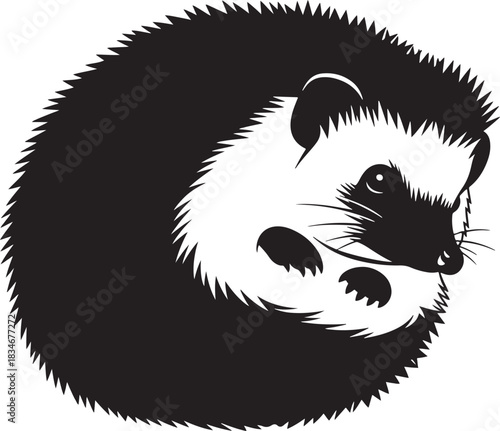 Hedgehog curled into a protective ball, black and white minimal vector illustration for animal and wildlife themes.