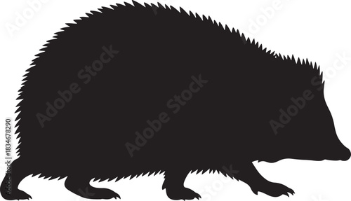 Hedgehog silhouette illustration. detailed graphic icon of a spiny mammal walking, isolated on a white background.