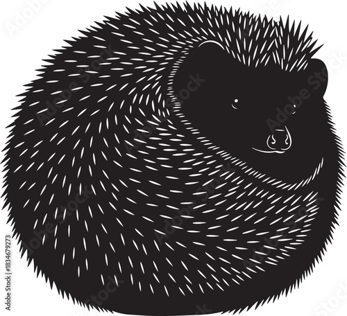 Stylized black and white illustration of a cute hedgehog curled into a defensive ball, simple vector artwork, isolated
