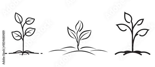 Seedling tree growing icon. Black nature green vector design.