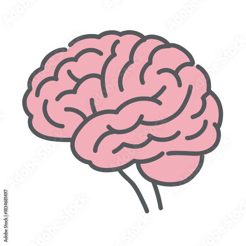 脳（のう）のイラスト