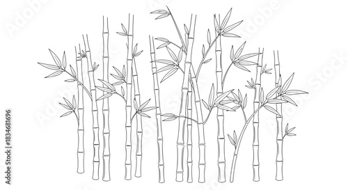 Stylized black and white illustration of a bamboo grove with dashed line art leaves and stalks, suitable for decorative designs.