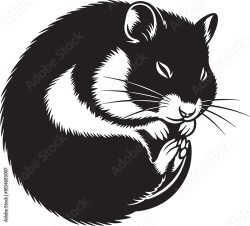 Black and white vector illustration of a small domestic rodent hamster curled up in a compact, resting posture