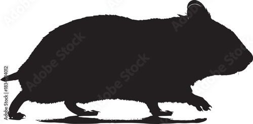 Silhouette of a small rodent, possibly a hamster, mouse, or rat, in a walking or running pose, isolated
