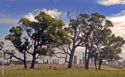 Longford Gas Plant with gas release flare and train to Longford Gas refinery seen through generic gumtrees in a nearby paddock.