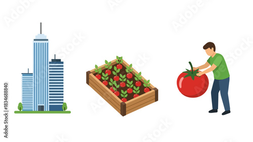 City Gardening Skyscraper, Raised Bed, and Ripe Tomato
