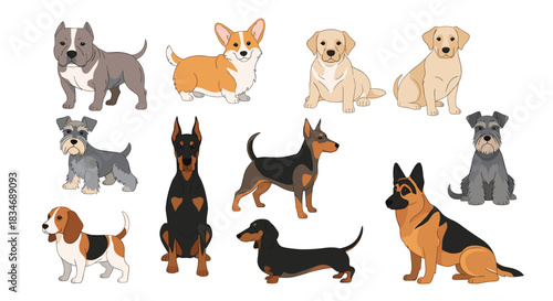 Large collection of popular dog breeds illustrated in a cute and colorful cartoon style, showing various poses isolated on white.